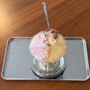 시외버스터미널 앞 | 강릉 시외버스터미널 근처 젤라또 맛집, 젤라또까사 후기