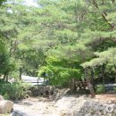 남원자연휴양림 이미지