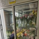 그린피아 | 창원꽃집 창원 중앙동 그린피아꽃집 개업화분 내돈내산 구매 후기