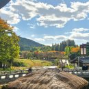 나들이 민박 | 아산 외암민속마을 민박 꿀팁 여기부터 관람 11월 볼거리