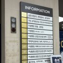 갑상선암 바로 알기 | 갑상선암 기록_결절,조직검사 후 병원 선택하기