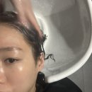 의정부 민락동 미용실 진에디트 헤어 다운펌 새치염색 세치염색 후기