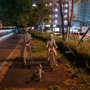 다인사우나헬스 이미지