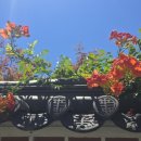 한국궁중꽃박물관 이미지