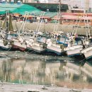 소래포구 이미지