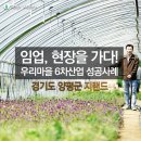 지랜드