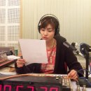 헤르시나 이미지