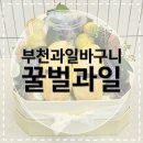 꿀벌상가 | [부천과일바구니] 꿀벌과일에서 첫인사 과일바구니 주문제작한 내돈내산 후기