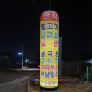 강촌꽃돼지