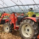 태양팜스 이미지