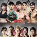 WS복싱클럽 이미지