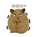 준참치스시 이미지