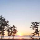 내품에 안기리 이미지