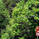 대한의백 이미지