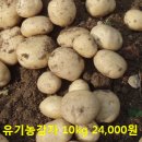 영월떡 이미지