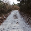 사목1리 이미지