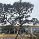 지수면사무소 | [진주 여행 #1] 진주 1박 2일 일정과 진주 부자 마을 후기 (1) : 부모님과 함께하는 가족여행