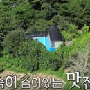 촌닭과오리 이미지