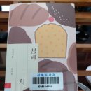 아침달 티스토리