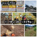 차이마취통증의학과의원 이미지