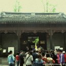 양광여행사