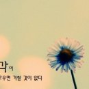 비사이