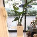 협성농장 이미지