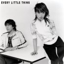 everylittlething