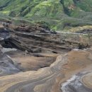 코코농장 이미지