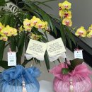 [10/25]가드닝 클래스 이미지