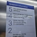 초롱태권도장 이미지