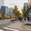 가로수길 이미지