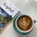 스테이캄 이미지