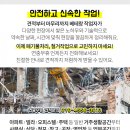 항도세탁소 네이버블로그