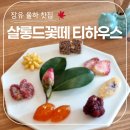 뭉쓰살롱 이미지