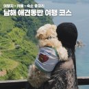 보길은모래펜션 | 남해 애견동반 여행 코스 추천 1박2일 가볼만한 곳