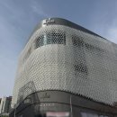 월드펫(애완동물할인매장) | 대전 침대 추천 N32 갤러리아 타임월드점 비건 매트리스 모션베드