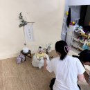 백일약국 | [대구 아기 백일사진] 굿사진 스튜디오