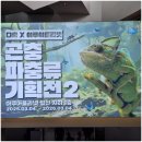 또아리하우스 | 일산 다흑 아쿠아플라넷 곤충 파충류기획전 체험전시 관람후기