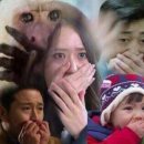 카페744 - 나주시 정렬사길 15 | 카페744