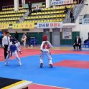 용인대 성민 태권도 이미지