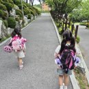 신갈근린공원 이미지