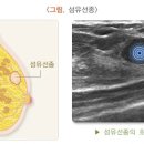 그레이스셀강남병원 이미지