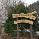 꿀벌아 고마워 공인중개사사무소 이미지