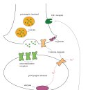 이진복한의원 이미지