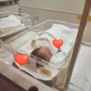 마더김밥 | 광주 마더힐 산후조리원 광주점 프리미엄스위트 내돈내산 후기