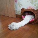 재수식당 이미지