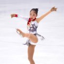 고리울초 이미지