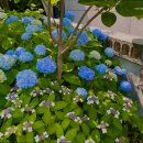 의료법인 로뎀의료재단 이미지