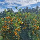 녹산2농장 이미지